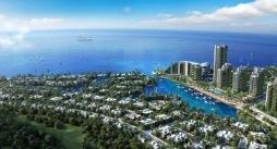 碧桂园森林城市